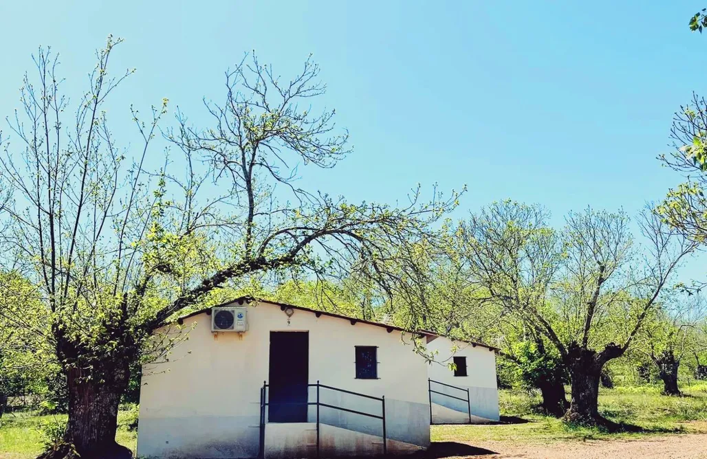 Unterkunft AlohaCamp Bungalow en Huelva 2