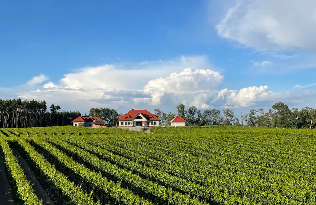 Agroturystyka Dolnośląskie ze zwierzętami Apartamenty w Winnicy | Winnica Milsko 2