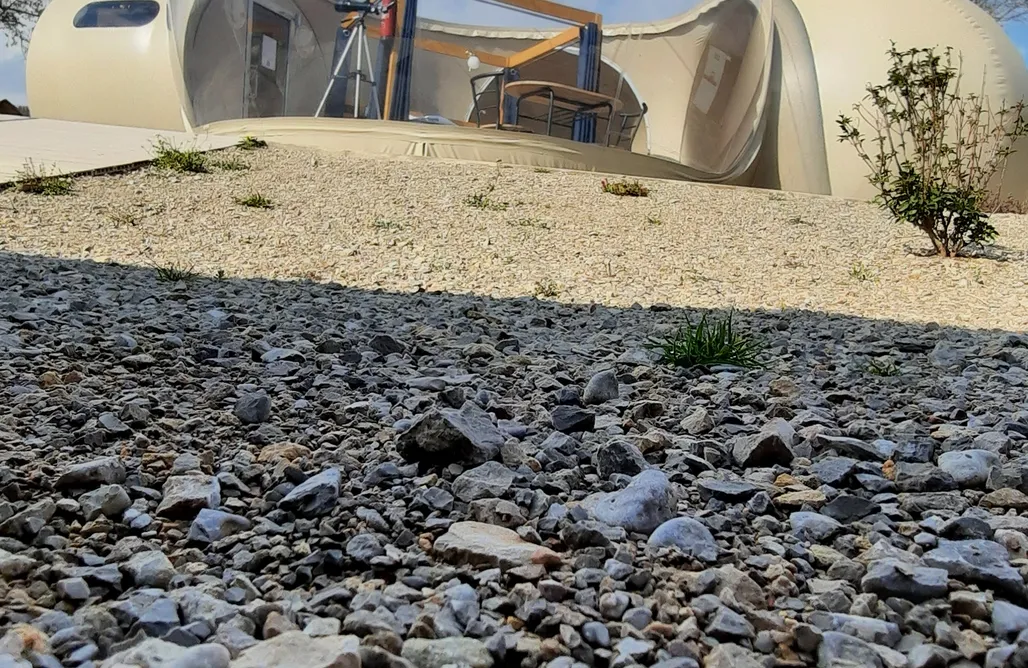 AlohaCamp Laika Premium Eros 1