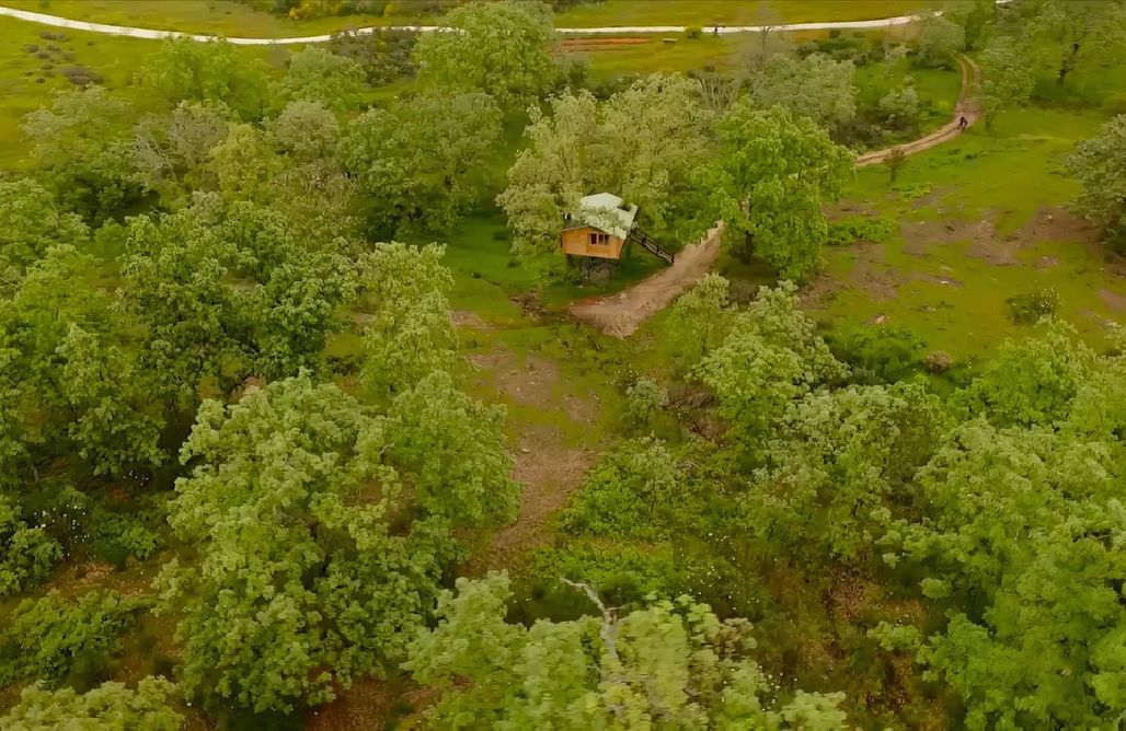 noclegi AlohaCamp Cabaña del bosque 5