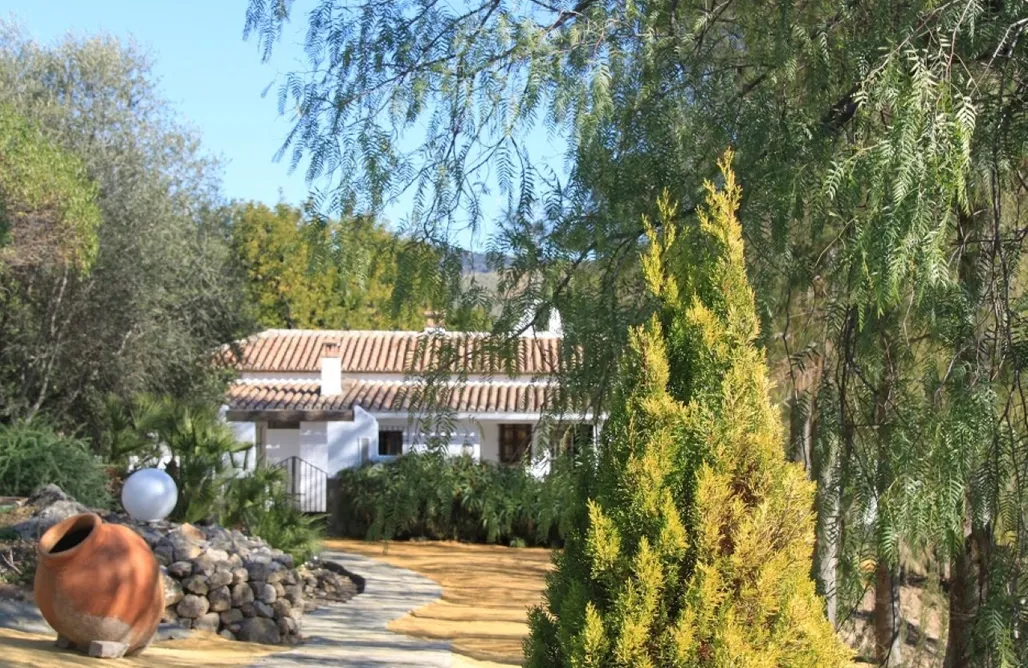 Alojamiento en Algodonales El Rancho 2