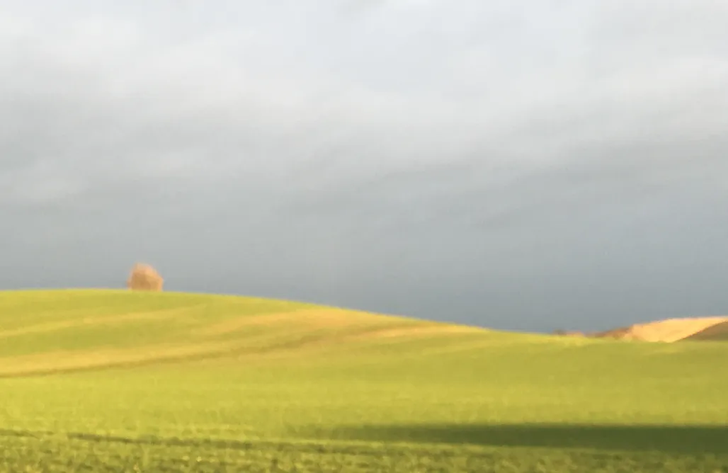 Ferienwohnung Ostsee Taubenkobel  1
