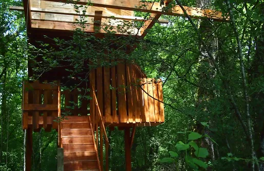 Imagen de Suites en los árboles