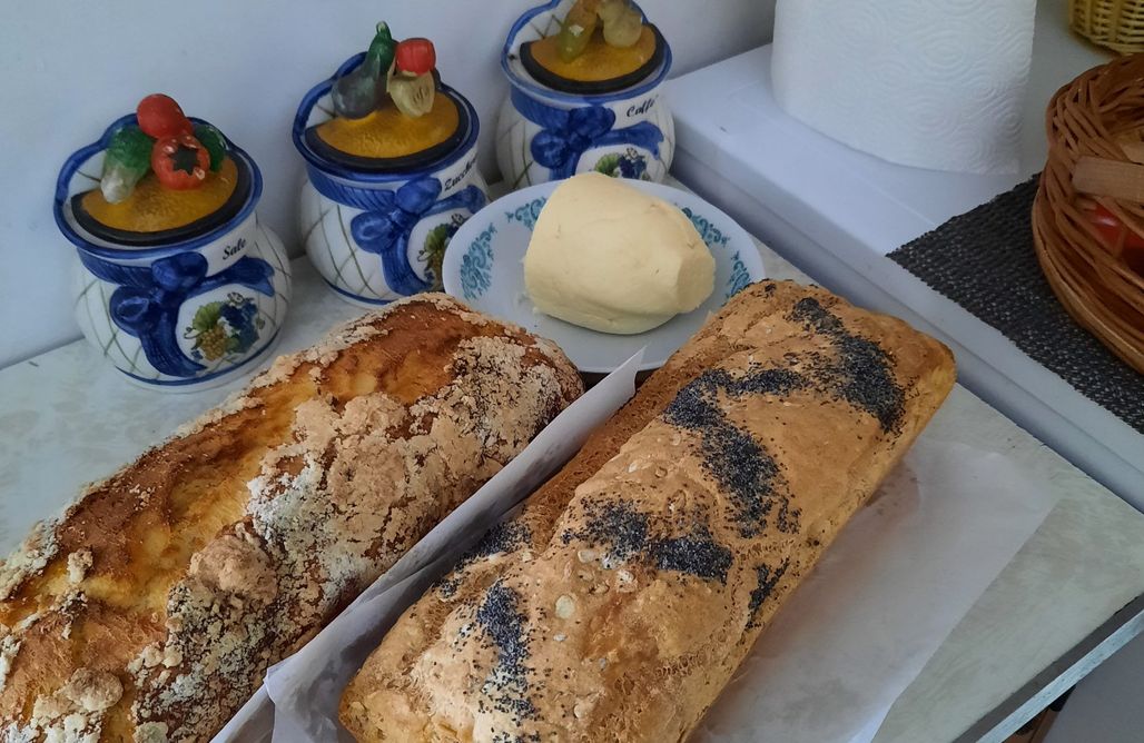 AlohaCamp Domek Danusia 1