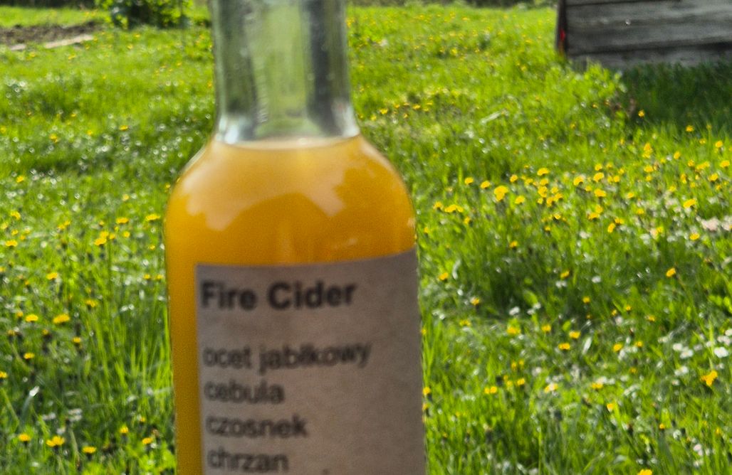 noclegi AlohaCamp Galeria 1