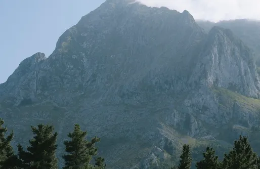 Imagen de Casa Goikomaia, Silencio Remoto
