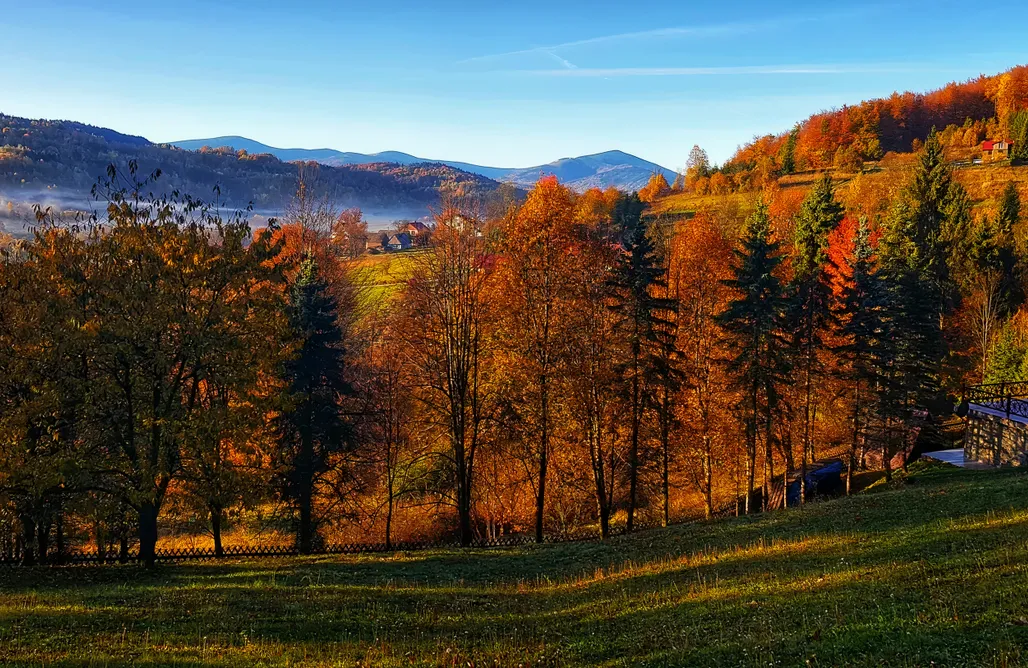 AlohaCamp accommodation Wild Eye Glamping Beskidy 1