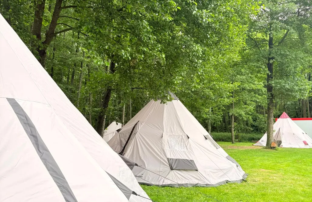 Unterkunft AlohaCamp Camper- und Zeltplatz - Bębnikąt Waldsiedlung im Notecka-Wald 5