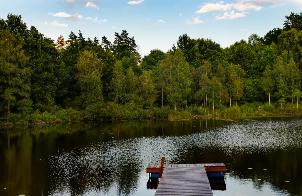 Miejsce kamperowe - Plattówka AlohaCamp