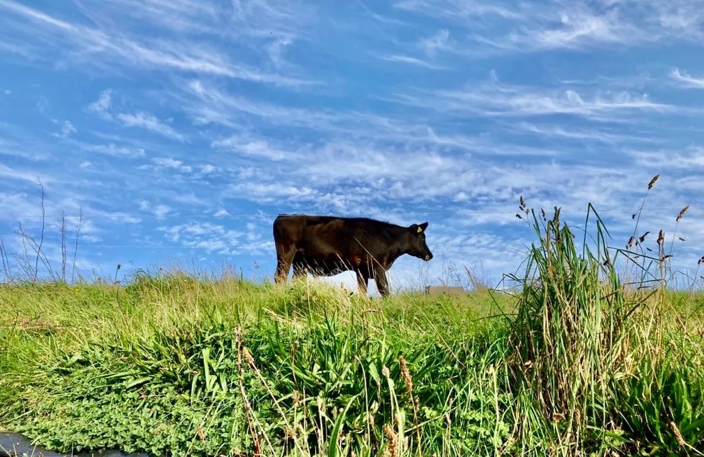 AlohaCamp accommodation Hot Tub Hideaway - The Nature’s Nook Retreat 5