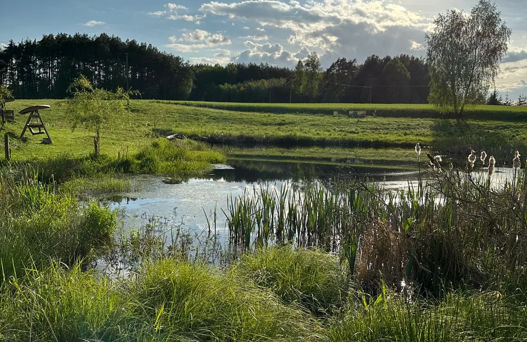 noclegi AlohaCamp Domek nad stawem Uroczysko 1