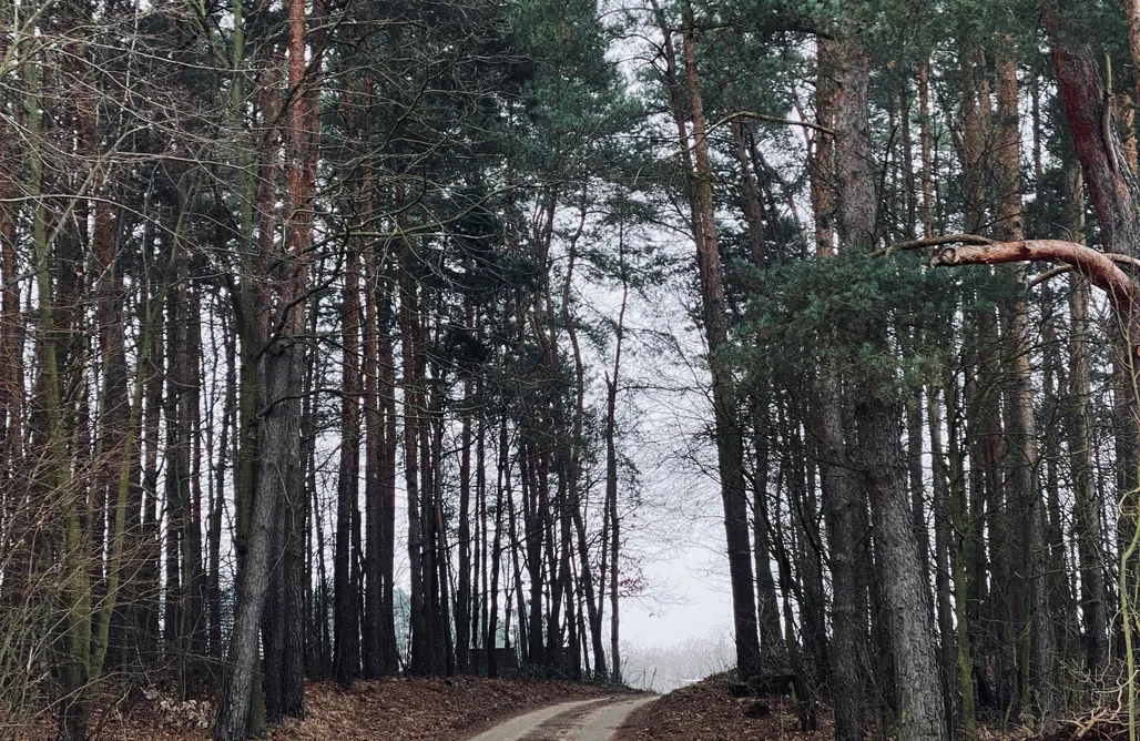 Piskornia noclegi Samosiejka - Lewy Brzeg Narwi 1