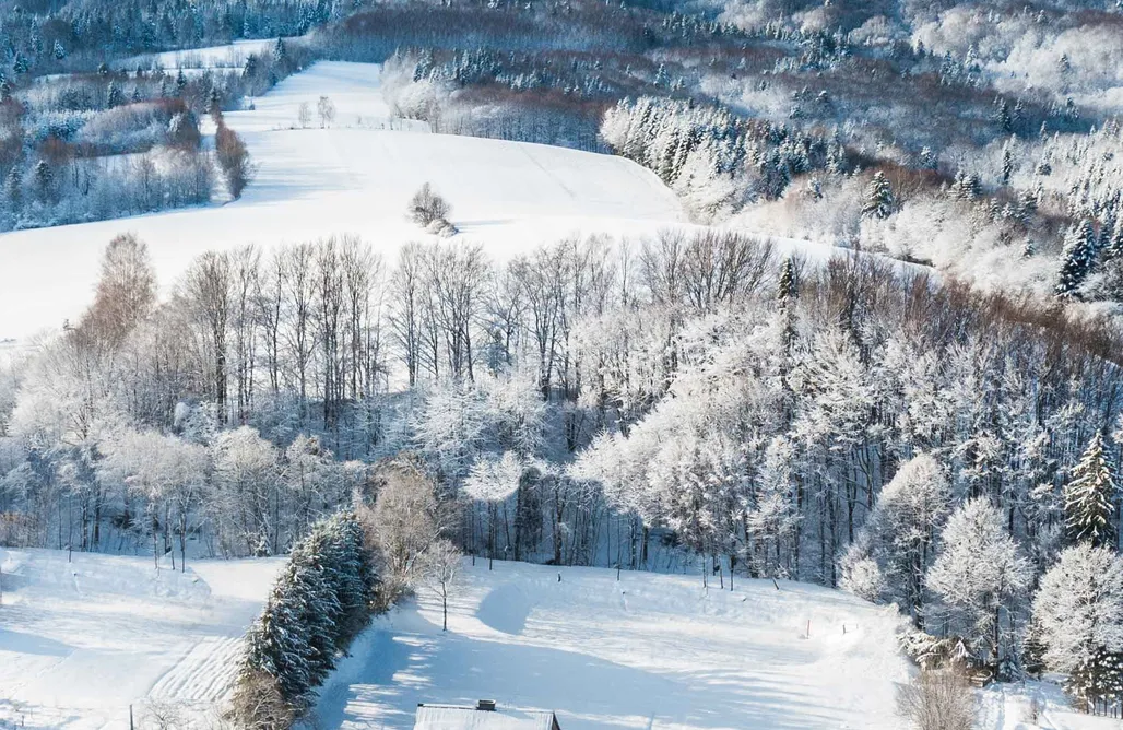 AlohaCamp Obiekt 3S 2