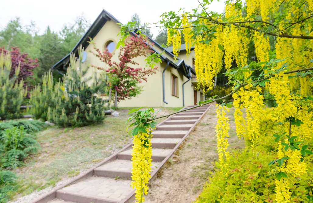 AlohaCamp accommodation Zielone Wzgórza 4