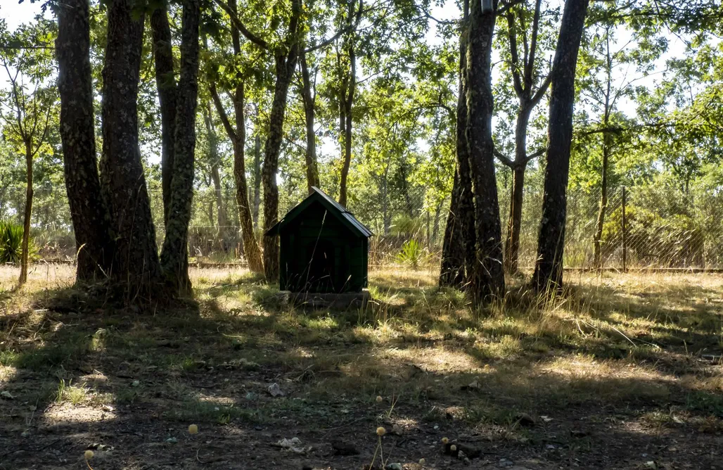 Casas rurales Castilla y León Cabañas Vallecino 1