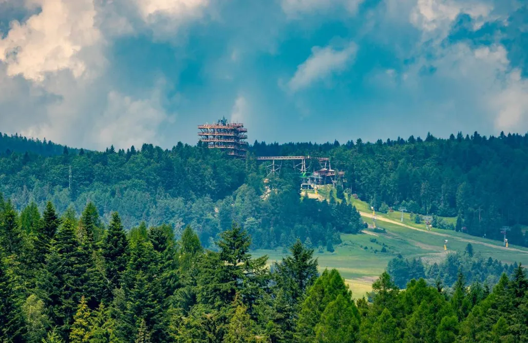 Hébergement AlohaCamp Willa Montis 5