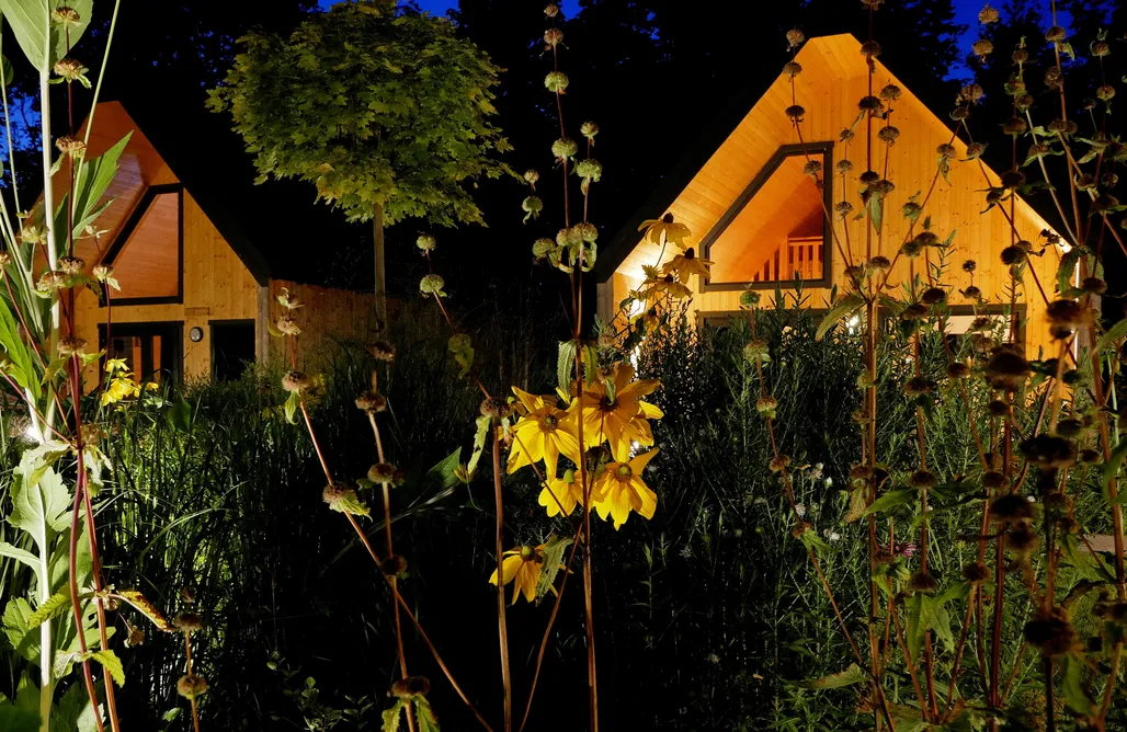 AlohaCamp Dom Sosna 1