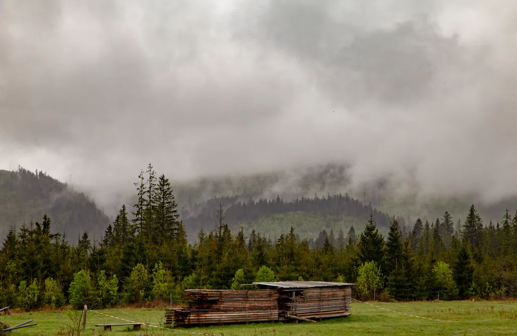 AlohaCamp Pokój nr 1 1