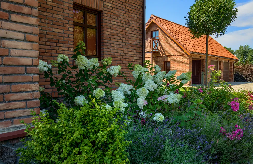 Jerzwałd Domki Jerzwałd 14 1