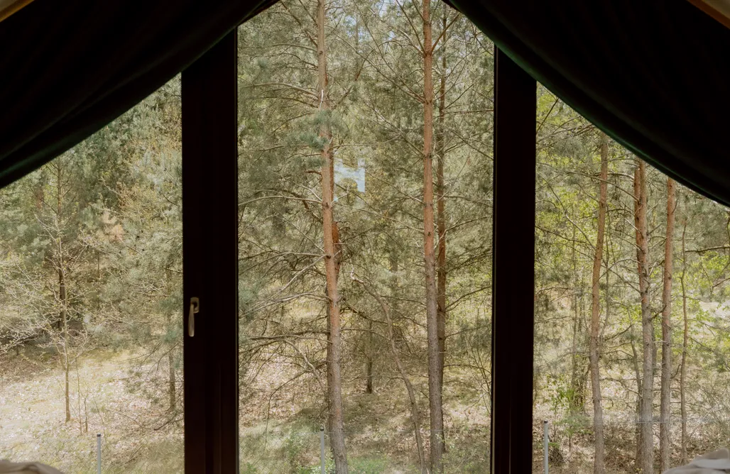 AlohaCamp Chatka, co w lesie szumi (domek z balią) 3