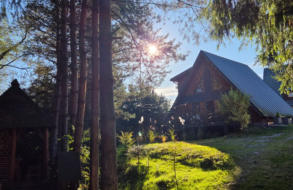 Szaflary Noclegi Szałas na skraju sosnowego lasu 3