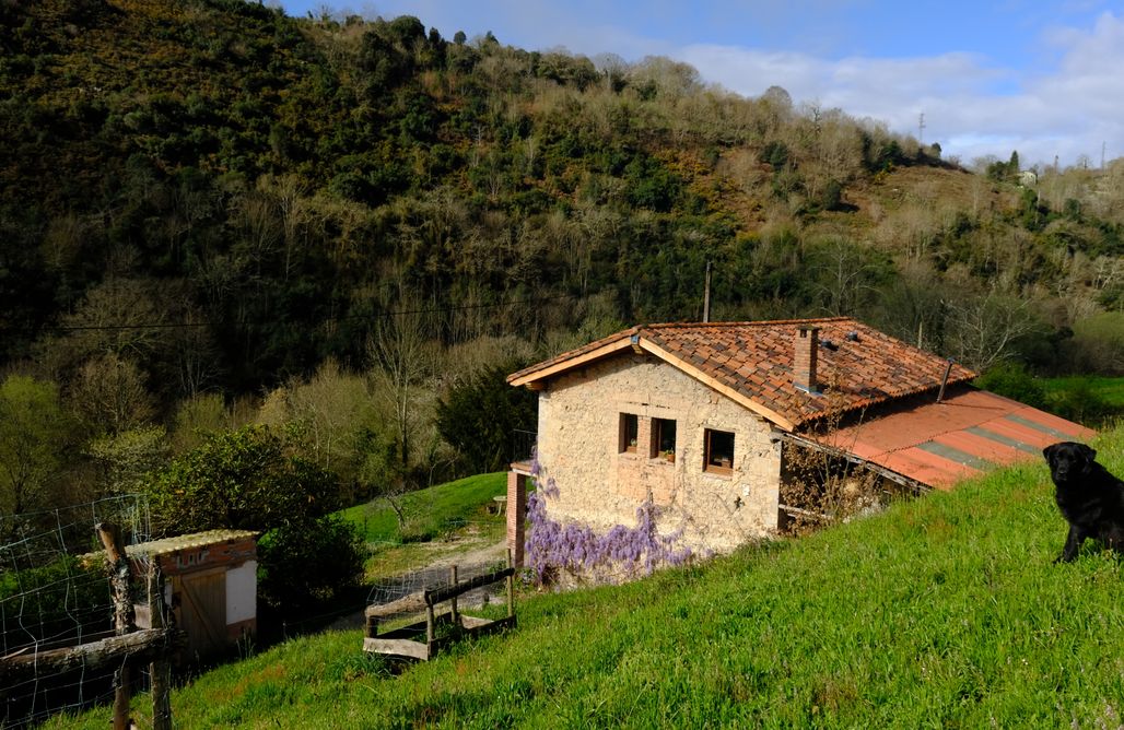 Casas rurales Castilla y León Mu de Munay 2