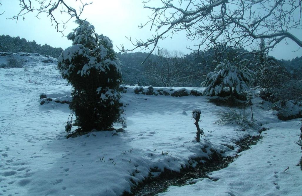 Alloggi AlohaCamp La Casa de la Luz 1