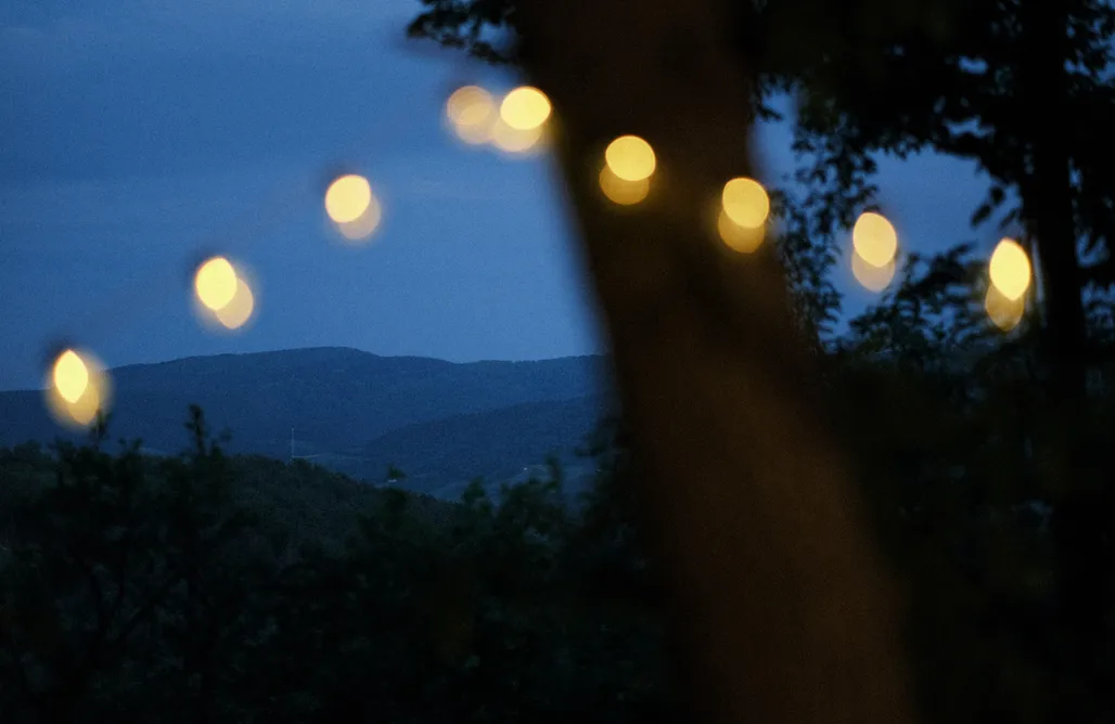 Gdzie na Grzyby Siedlisko Ogródek The Tiny House 1