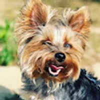 Katarzyna użytkownik