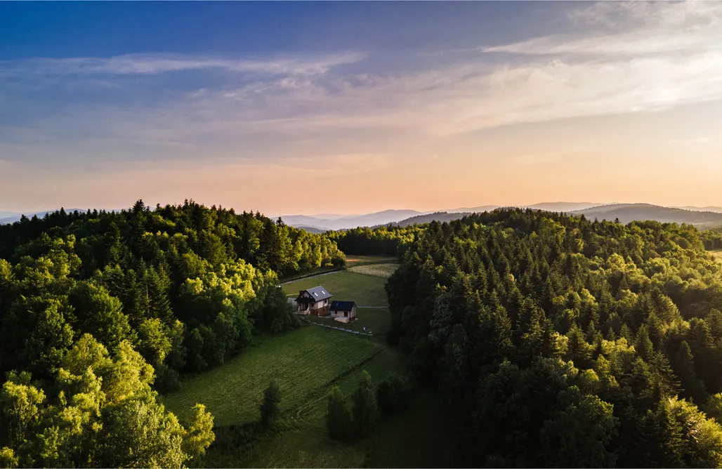 AlohaCamp accommodaties Chałupy w lesie 4