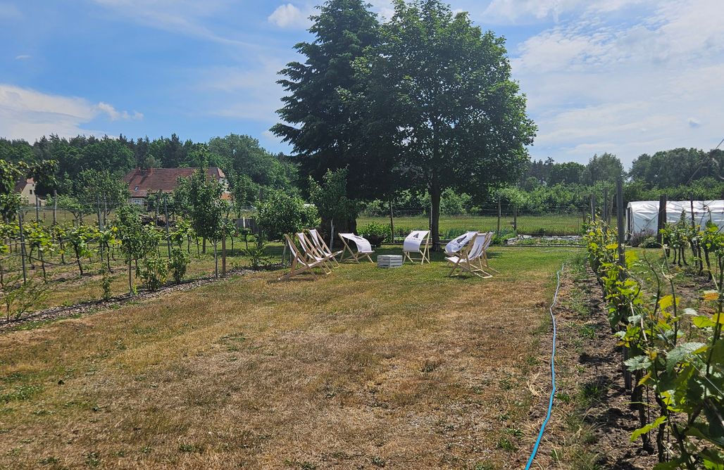 AlohaCamp accommodation Miejsce kamperowe i namiotowe - Winnica Alvarium 2