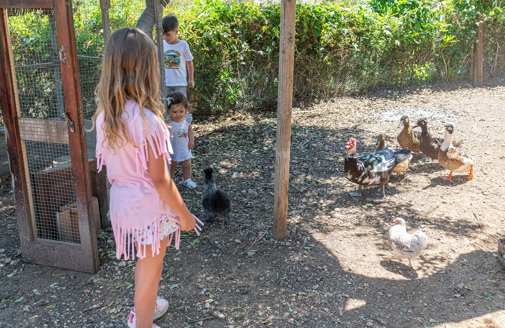 AlohaCamp accommodation Tierra de Arte: Cabaña Triángulo 1