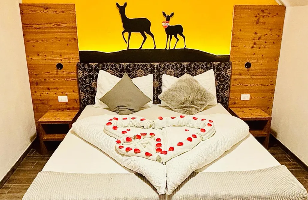 AlohaCamp Camera Basic 3