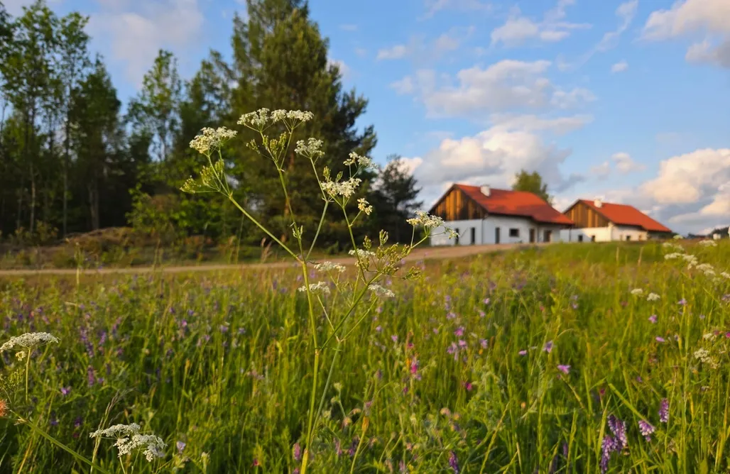 Jonkowo Noclegi Warmińska Polana - Dom w sercu natury Gietrzwałd 3