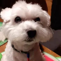 Beata gospodarz Willa pod Jodłą