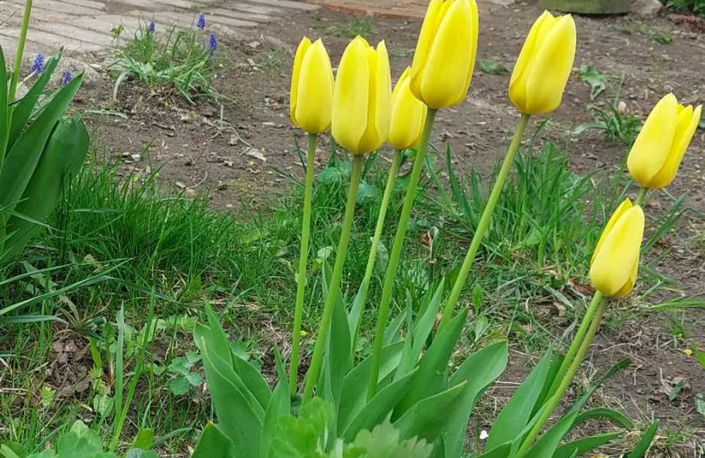 noclegi AlohaCamp Pokoje- Dom na Mazurach Pilec 4