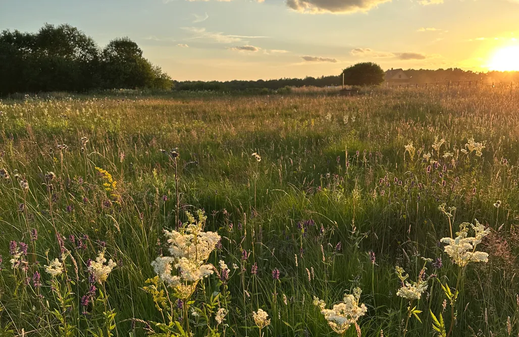 Brzozowa Polanka AlohaCamp