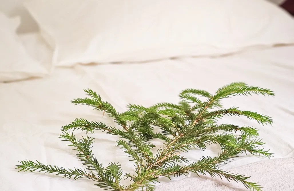 AlohaCamp Dom Lëpa 2