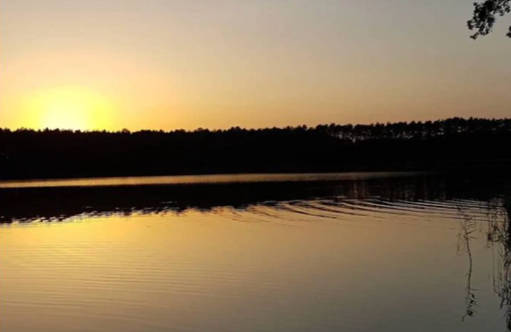 AlohaCamp Lukasowy Domek 1