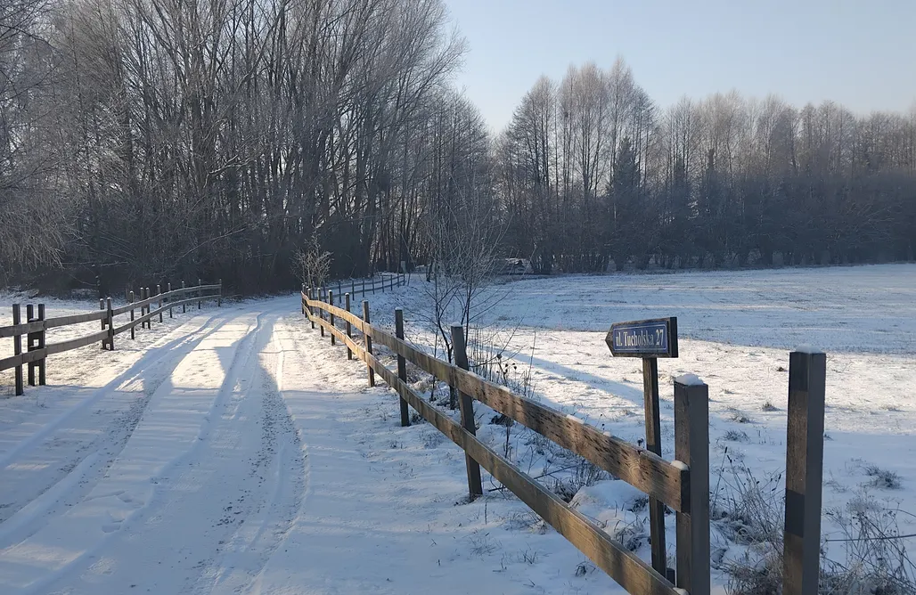 AlohaCamp Leśny Domek 1