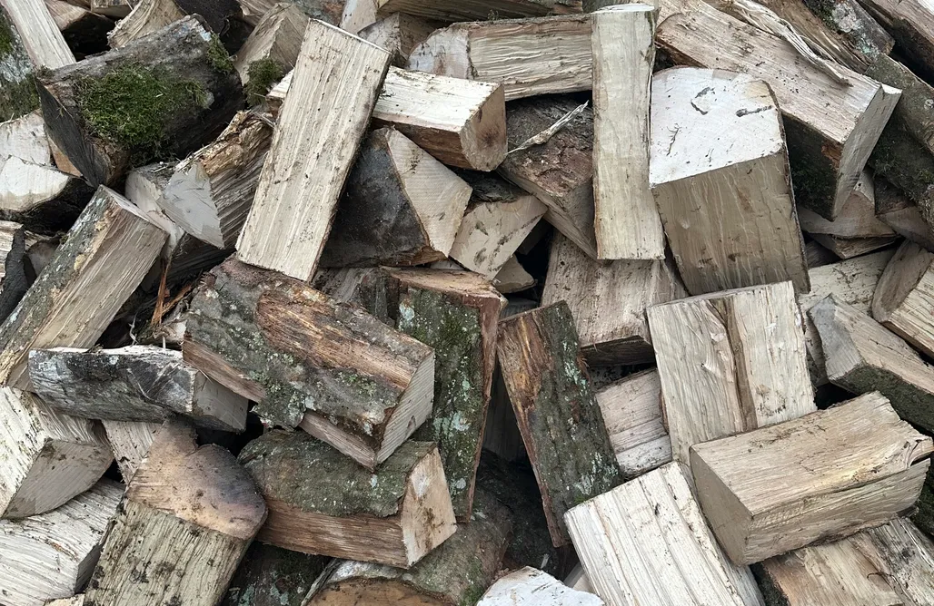 noclegi AlohaCamp HATTA 1