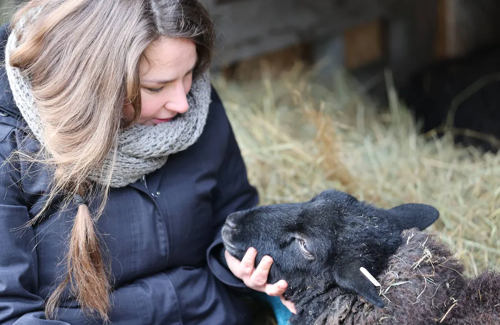 AlohaCamp Hüttchen ganzjährig nutzbar mit Kamin&Sauna 1