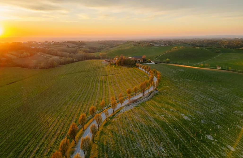 Broglia Wine Suites Gavi by Vinova Stay AlohaCamp
