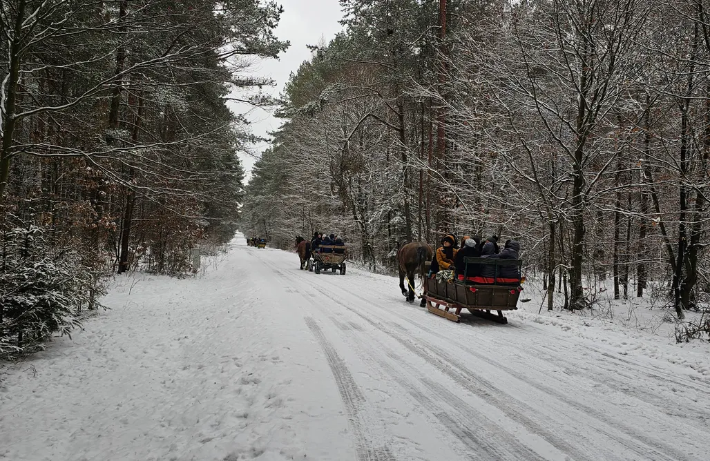 Alloggi AlohaCamp Rajskie Globy  1