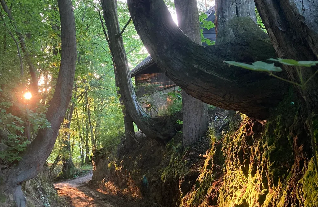 Glamping Nałęczów Niebieski Koń 1