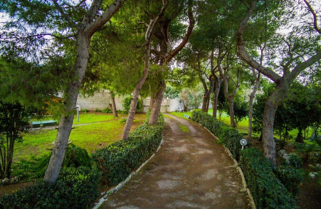 Alloggi AlohaCamp Villa Margherita 4