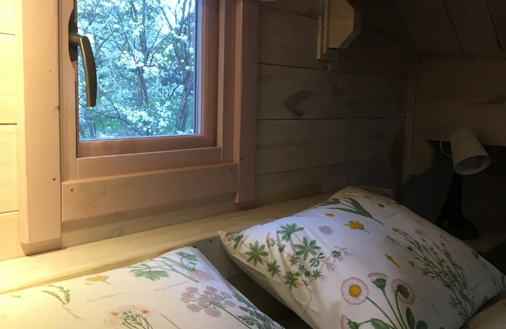 AlohaCamp 83 Bredynki 2