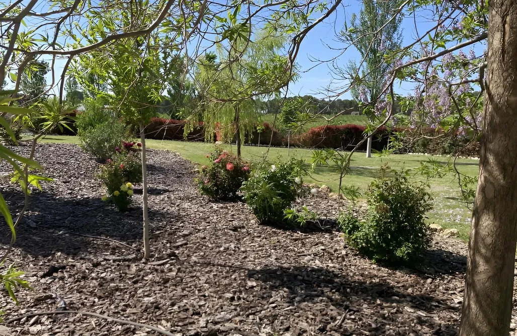 AlohaCamp Villa Cruz 1