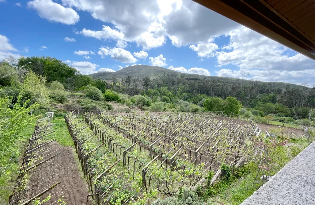 alojamientos AlohaCamp Casa Rosana as Neves 4