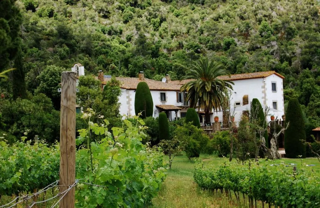 Hébergement AlohaCamp Bell-Lloc 1